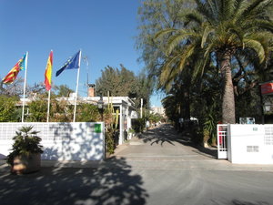 SAM_0744.JPG