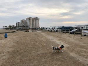 14FD0B53-61A6-4551-965B-0E1DDE30B570.jpeg 14FD0B53-61A6-4551-965B-0E1DDE30B570.jpeg