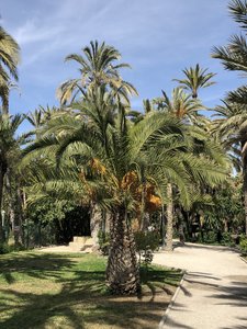 6CC9DC9F-7CA3-4B28-A6BD-15F8C46343B3.jpeg 6CC9DC9F-7CA3-4B28-A6BD-15F8C46343B3.jpeg