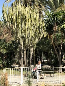 4CA7027E-7FAC-4405-B76D-F8990875F007.jpeg 4CA7027E-7FAC-4405-B76D-F8990875F007.jpeg