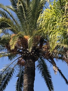 9397E426-ADDE-4929-8A45-0729BBAD29DF.jpeg 9397E426-ADDE-4929-8A45-0729BBAD29DF.jpeg