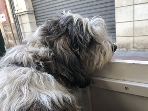 1DC668B1-615D-4AEF-AC51-26FE80986FE4.jpeg 1DC668B1-615D-4AEF-AC51-26FE80986FE4.jpeg