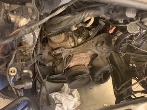 IMG_9252.JPG IMG_9252.JPG