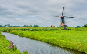 20100815-050.jpg