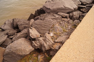 Mazagon, Punta Umbria (S) St Luzia (P) 069.JPG