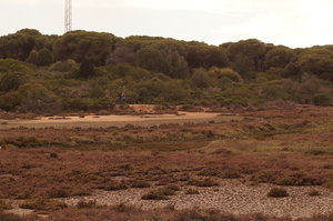 Mazagon, Punta Umbria (S) St Luzia (P) 100.JPG