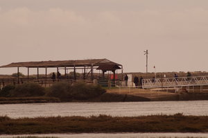 Mazagon, Punta Umbria (S) St Luzia (P) 111.JPG