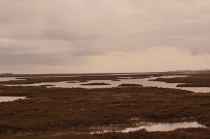 Mazagon, Punta Umbria (S) St Luzia (P) 117.JPG