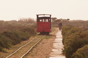 Naturpark Ria Formosa 003.JPG