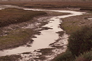 Naturpark Ria Formosa 010.JPG