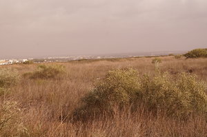 Naturpark Ria Formosa 015.JPG