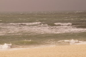 Naturpark Ria Formosa 032.JPG