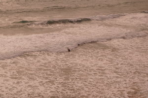 Sagres 7 mars 2019 031.JPG