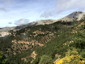 IMG_0198.jpg