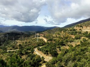 IMG_0220.jpg