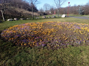 IMG_20190308_144209.jpg IMG_20190308_144209.jpg