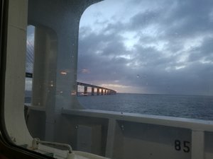 IMG_20190310_064508.jpg
