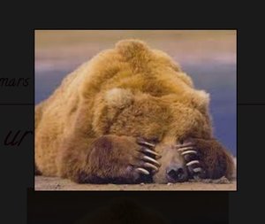 upload_2019-3-13_19-39-23.jpeg upload_2019-3-13_19-39-23.jpeg