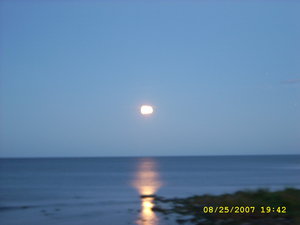 Bilder fr 07 019.JPG