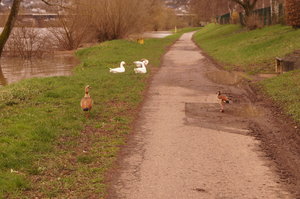 Trier, Tyskland vid Mosel 026.JPG