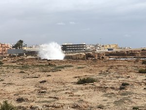 36BA1154-6FF1-4692-8201-7E7552A858F4.jpeg 36BA1154-6FF1-4692-8201-7E7552A858F4.jpeg