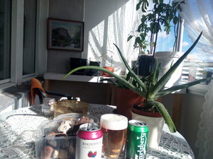 IMG_20190319_141832.jpg IMG_20190319_141832.jpg