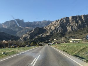 C0BE606D-5C45-41C3-8980-F90752C22C01.jpeg C0BE606D-5C45-41C3-8980-F90752C22C01.jpeg