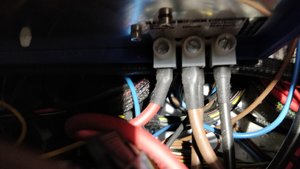 IMG_20190323_130737.jpg IMG_20190323_130737.jpg