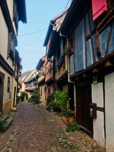 IMG_4176.jpg