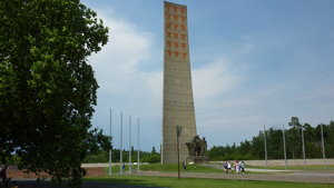 P1010386.JPG