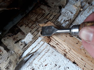 20190326_165422.jpg 20190326_165422.jpg