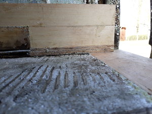 20190328_095903.jpg 20190328_095903.jpg