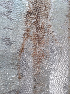 20190328_115007.jpg 20190328_115007.jpg