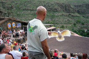 IMG_1266.JPG