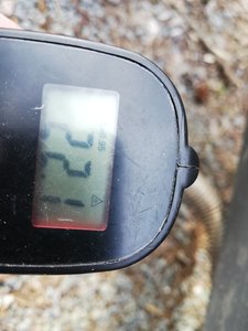 IMG_20190406_105204.jpg