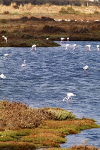 IMG_6946.jpg