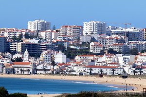 IMG_8691.jpg