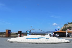 IMG_8720.jpg