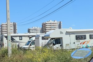 IMG_8724.jpg