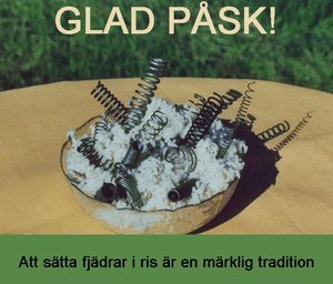 Glad Påsk! Fjädrar! - - Kopia.jpg
