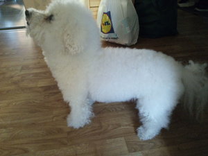 IMG_20190419_195215.jpg IMG_20190419_195215.jpg