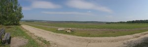 DSC_4129.JPG DSC_4129.JPG