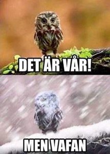 image007.jpg image007.jpg