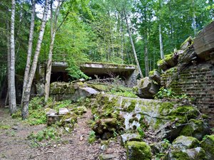 C50CD542-E970-4472-87A7-5EE0A9D096CE.jpeg C50CD542-E970-4472-87A7-5EE0A9D096CE.jpeg