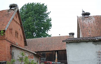 DSC_0144.JPG DSC_0144.JPG