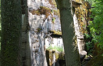 DSC_0116.JPG DSC_0116.JPG