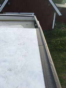 FFCE0AE6-F854-4045-B95B-C5016FF7E02D.jpeg FFCE0AE6-F854-4045-B95B-C5016FF7E02D.jpeg