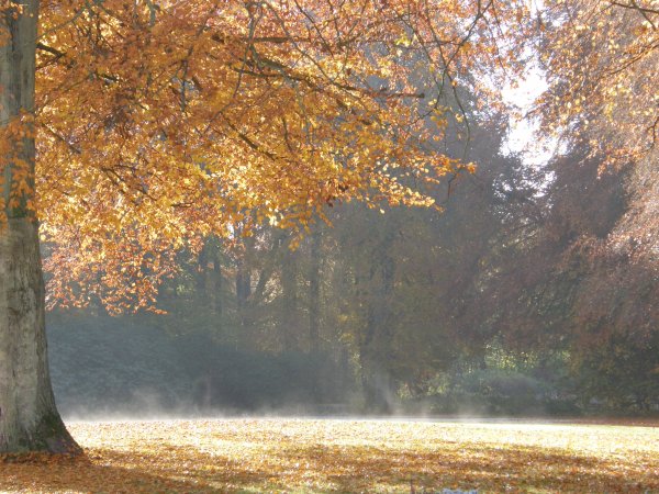 höstbilder091031 027.jpg