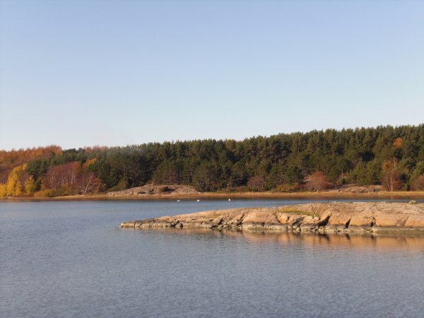 Skräddarön.jpg
