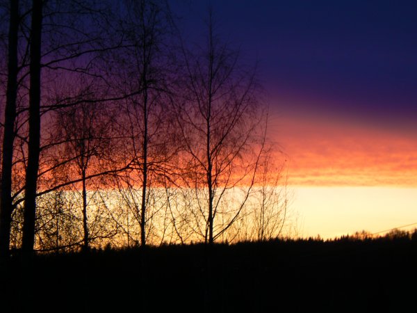 P1040102.JPG P1040102.JPG